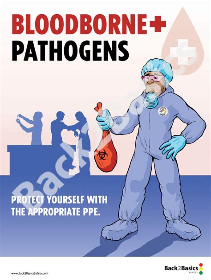 Are an example of engineering controls to limit exposure to bloodborne pathogens
