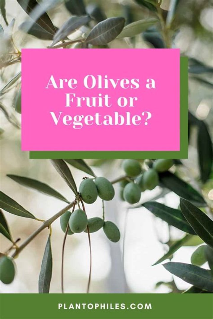Are Olives A Vegetable - How To Discuss