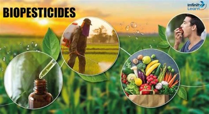 Are pesticides oil based
