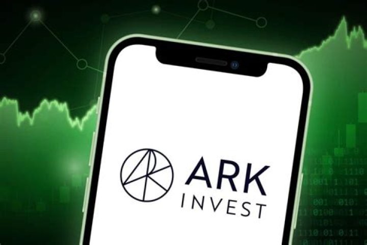 Ark invest portfolio - How To Discuss