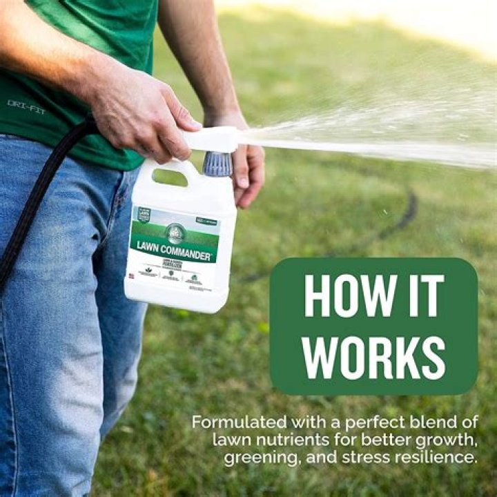 Best fertilizer for garden - How To Discuss