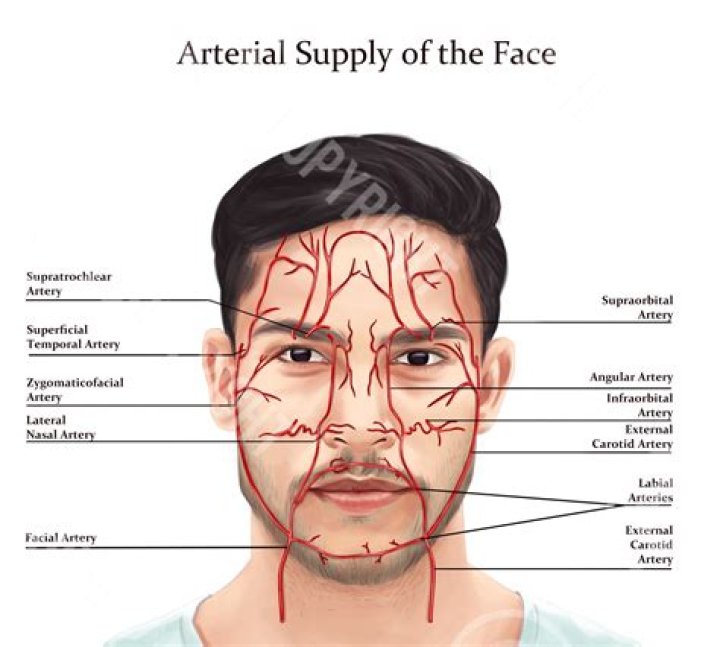 Blood vessels on face - How To Discuss