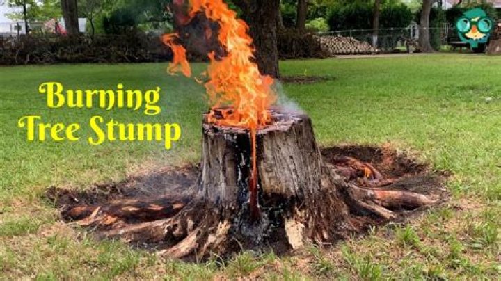 Burning Tree Stumps - How To Discuss