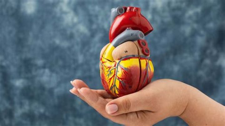 Can Accutane cause heart problems