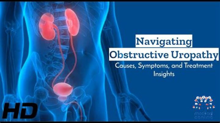 Can BPH cause obstructive uropathy
