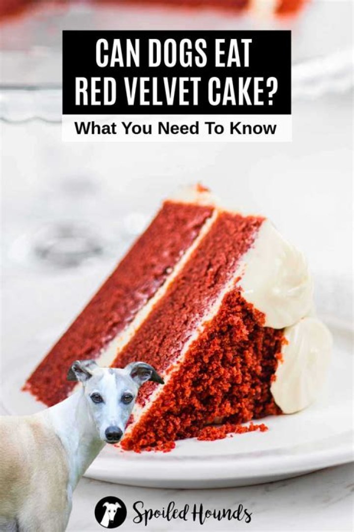 Can Dogs Eat Red Velvet Cake