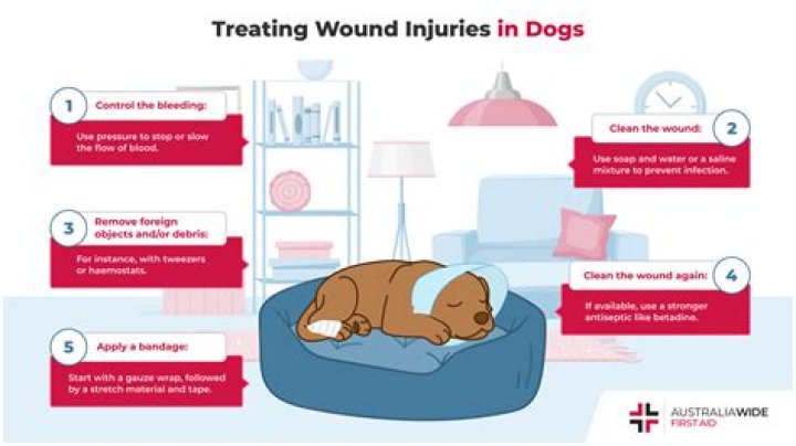 Can I Use Betadine On My Dog Puncture Wound