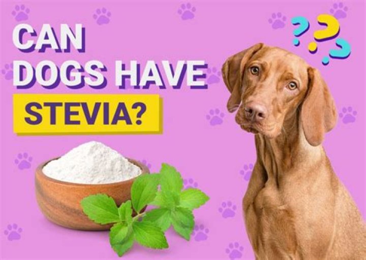 Can Stevia harm dogs