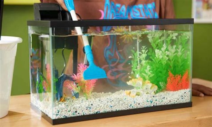Can Too Much Decorations In A Fish Tank