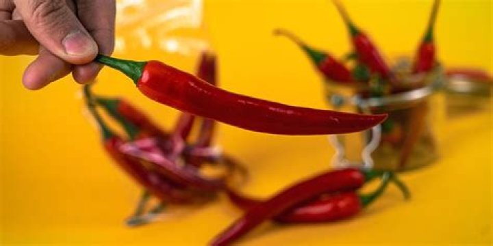 Can you freeze Chilli Peppers