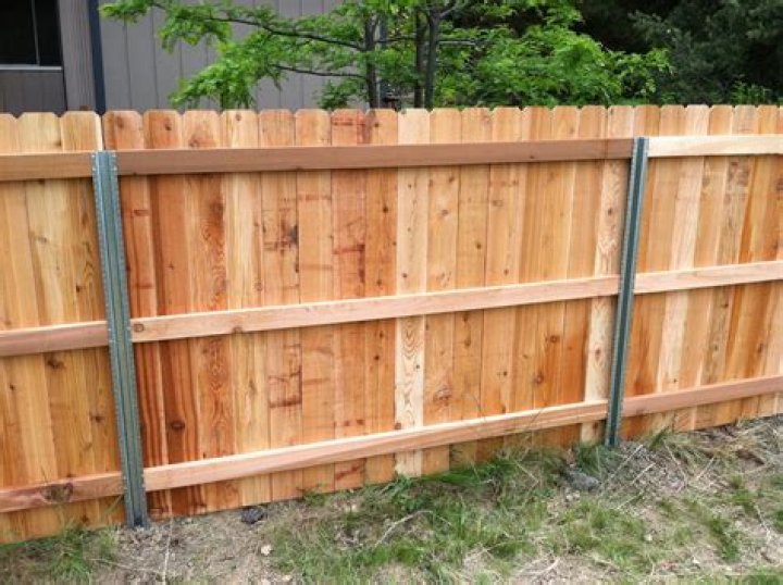 Cedar fence posts - How To Discuss