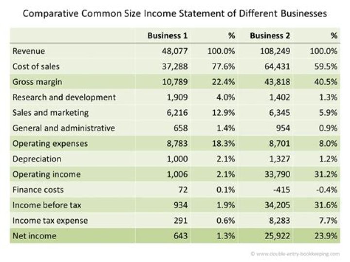 Common-size income statement - How To Discuss
