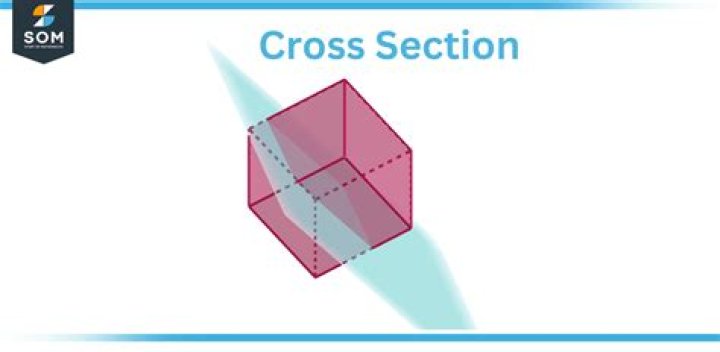 Cross-sectional view - How To Discuss