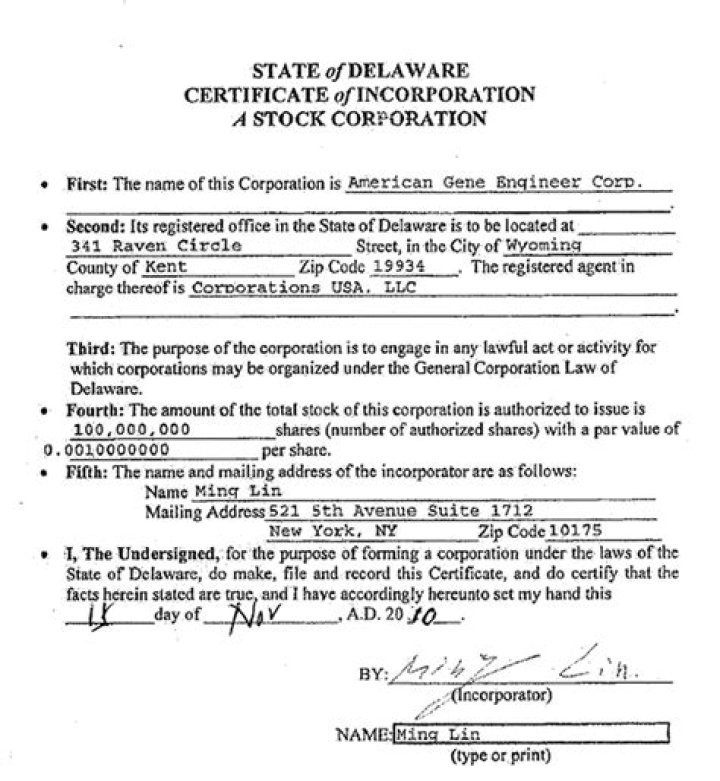 Delaware corporation - How To Discuss