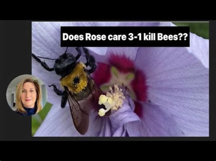 Do Lowes plants kill bees