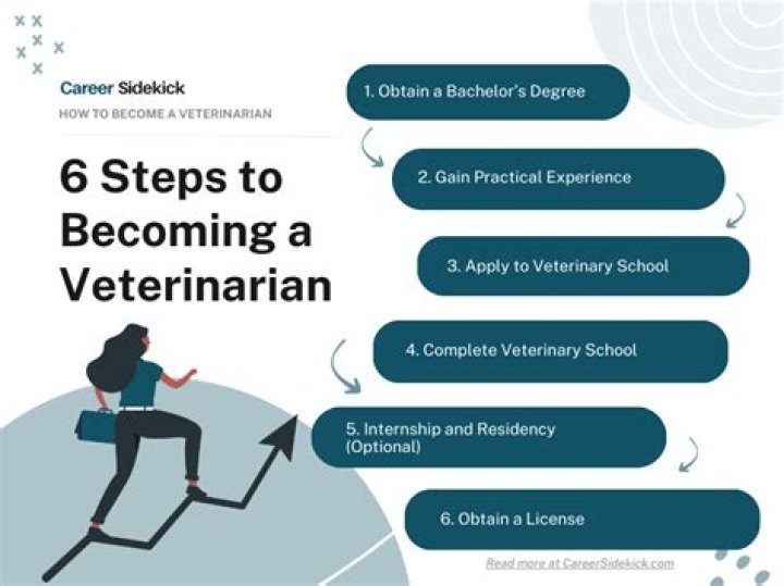 Do you need a degree to be a veterinarian assistant