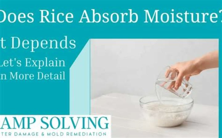 Does rice absorb oil