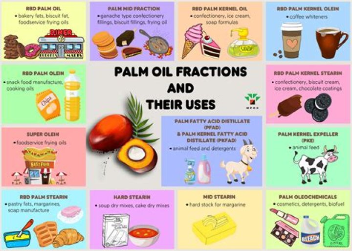 Does Sees Candy use palm oil