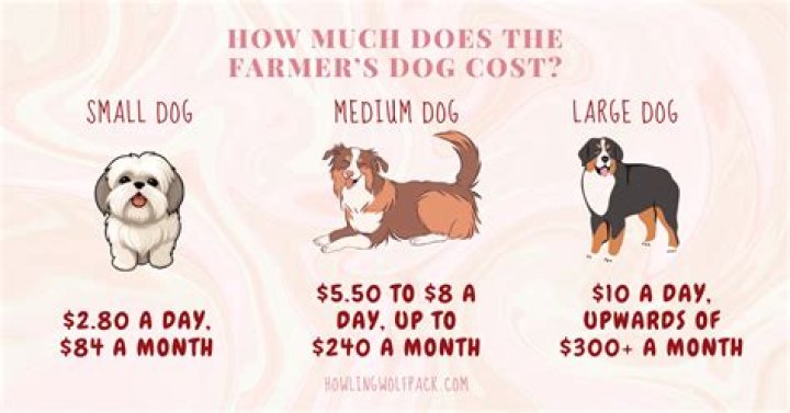 Farmers dog cost - How To Discuss