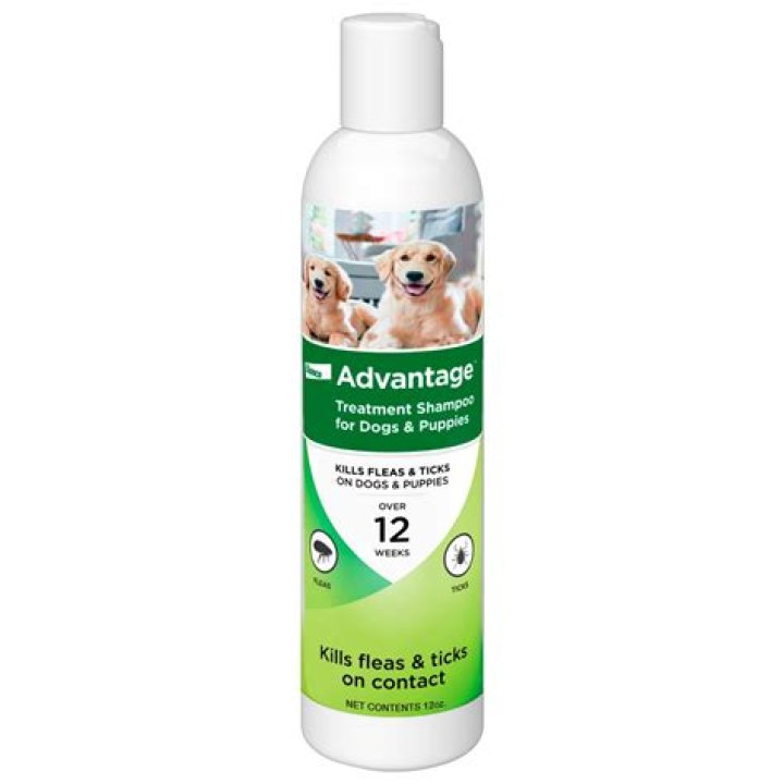 Flea Shampoo For Puppies Under 8 Weeks