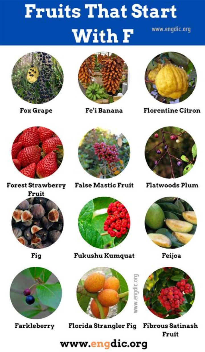 Fruit That Starts With F