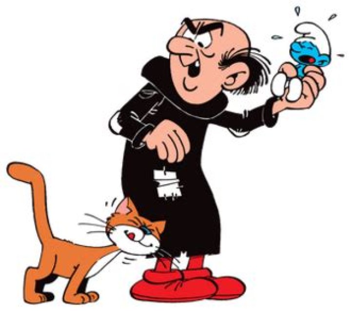 Gargamel Cat Name - How To Discuss