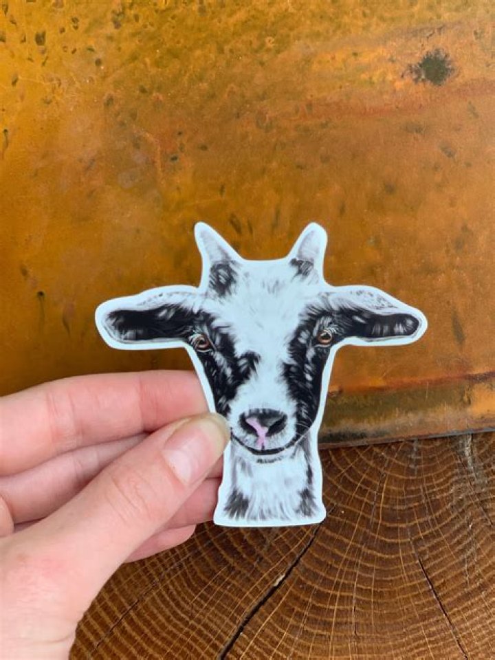 Goat Head Stickers - How To Discuss