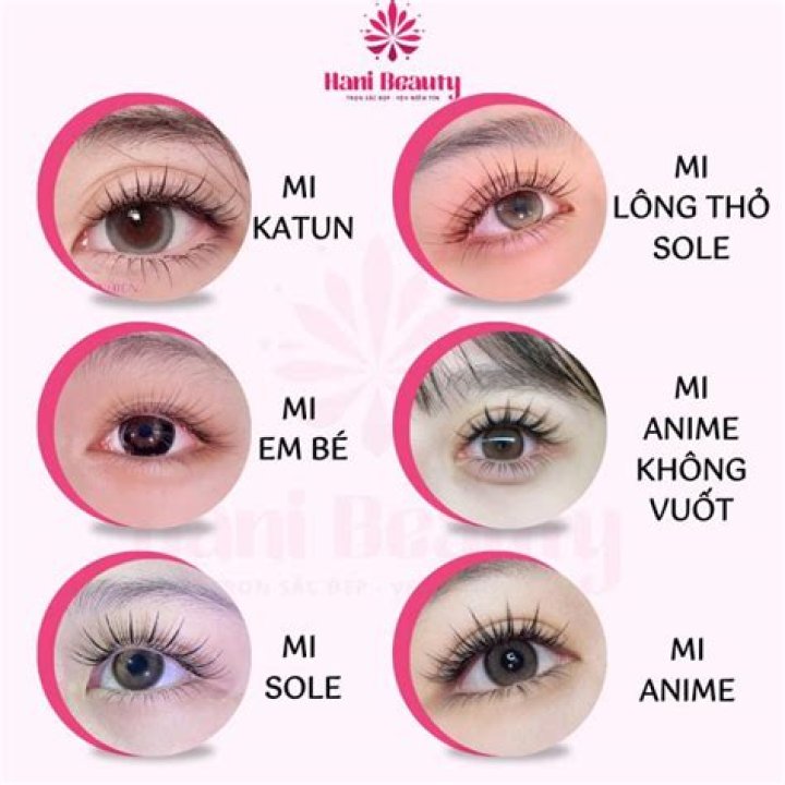 Hani Beauty – Big Beauty E-commerce in Vietnam