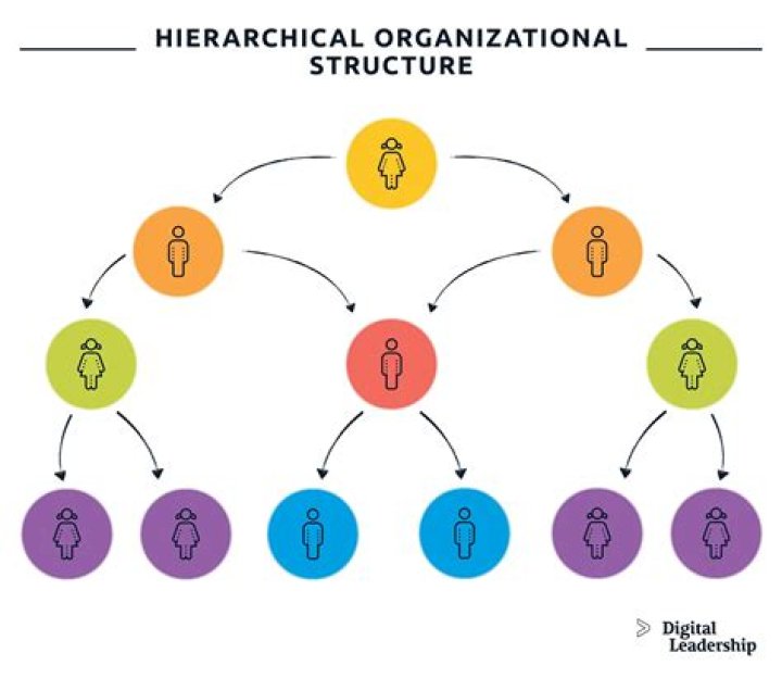 Hierarchical organization - How To Discuss