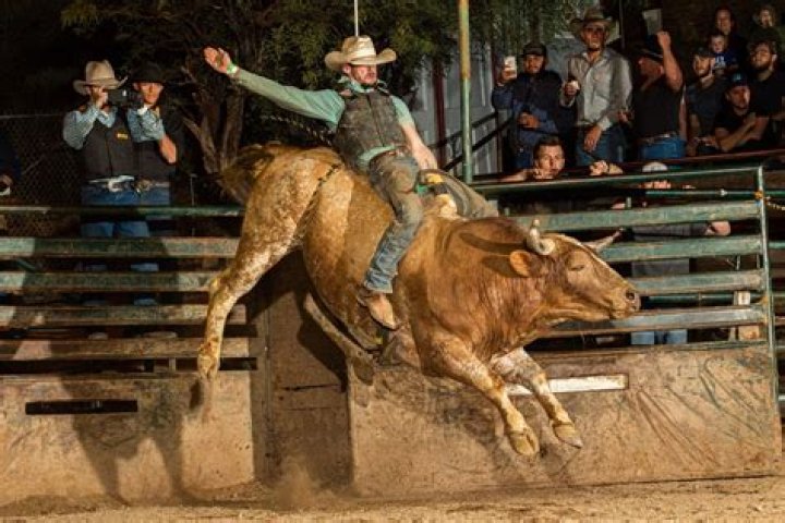 How Did Bull Riding Start