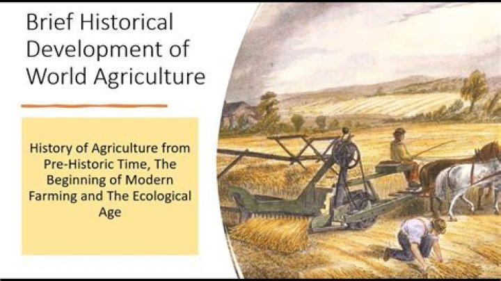 How did the Agricultural Act of 1929 help farmers