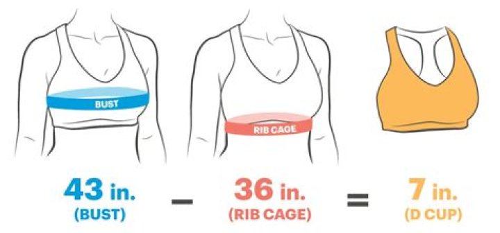 How Do Bra Measurements Work