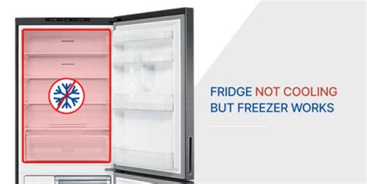 How do I fix my freezer not closing?