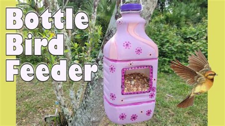 How do you get a trapped bird out of a chimney