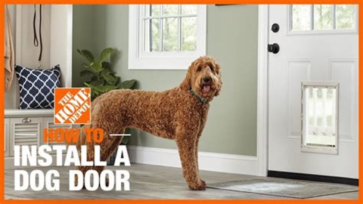 How do you install a dog door in an exterior door