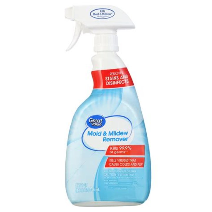 How do you make mold and mildew remover