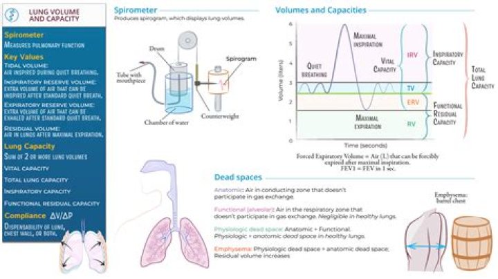 How do you measure lung capacity experiment