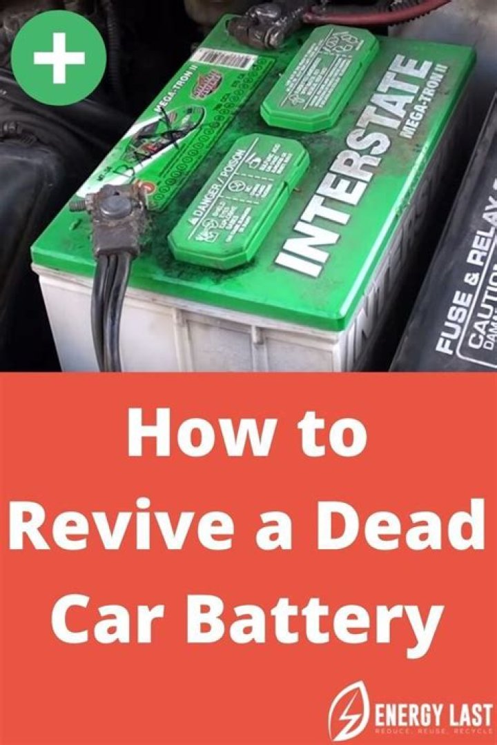How do you revive a dead deep cycle battery?
