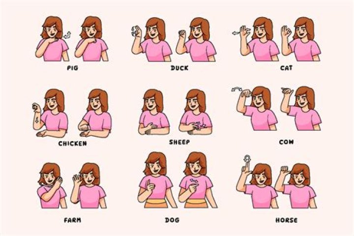 How do you sign stuck in ASL