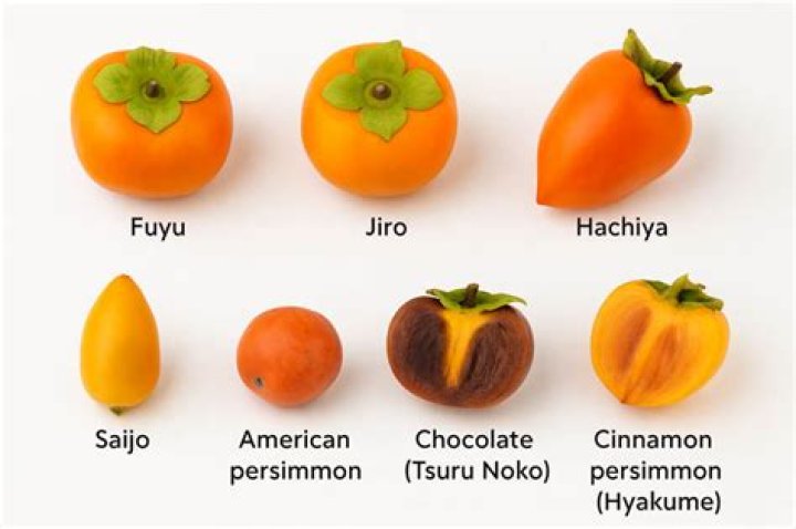 How do you take care of a Fuyu persimmon tree