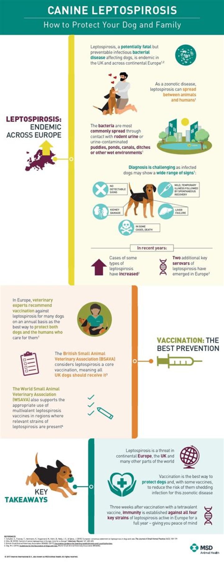 How do you test for leptospirosis in dogs