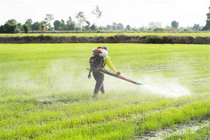 How does image herbicide work