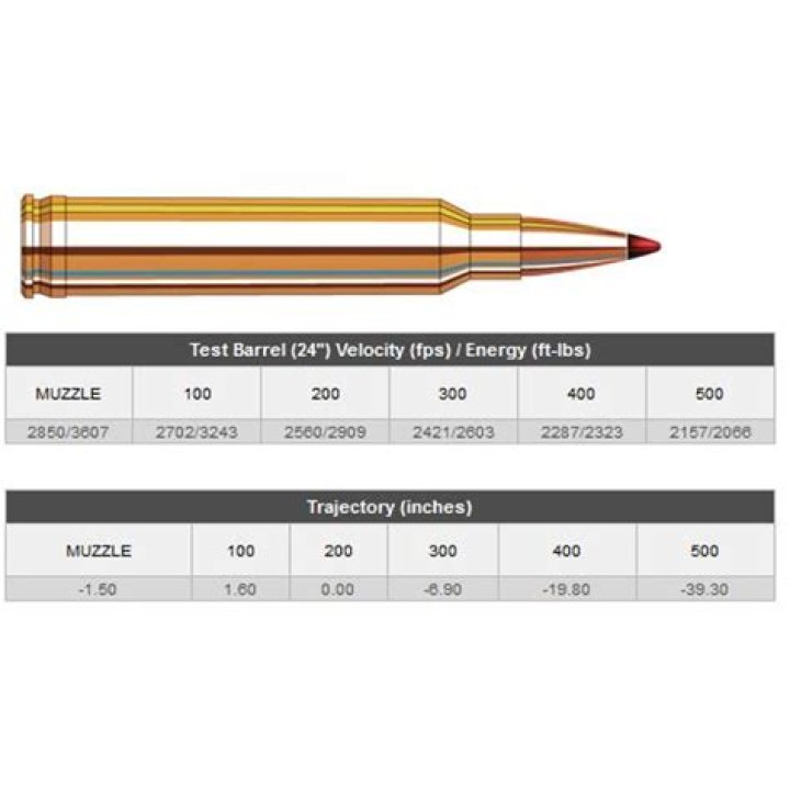 How Fast Does A Hornady 308 Round Travel
