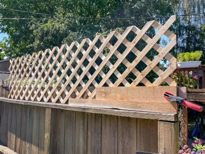 How high can I build a trellis