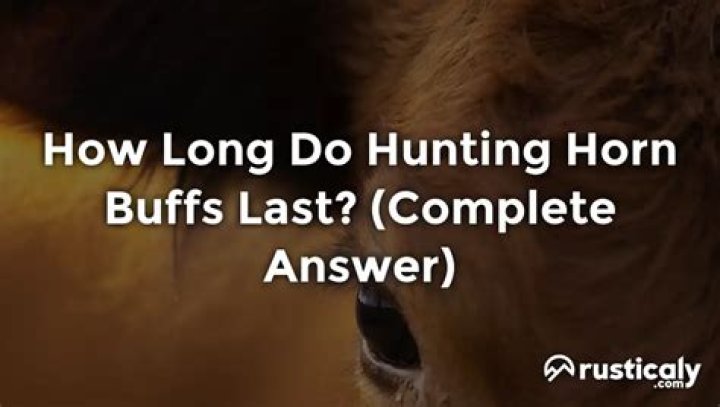 How Long Do Hunting Horn Buffs Last