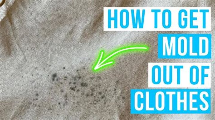 How long does it take for mildew to grow on wet clothes