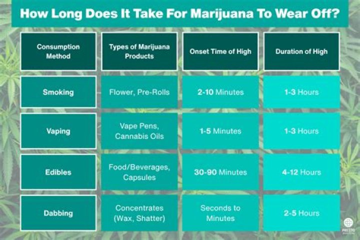 How long does it take to get a refund from Orbitz