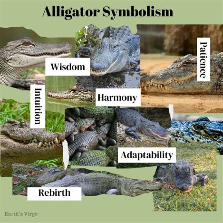 How long has Amazon Alexa been around