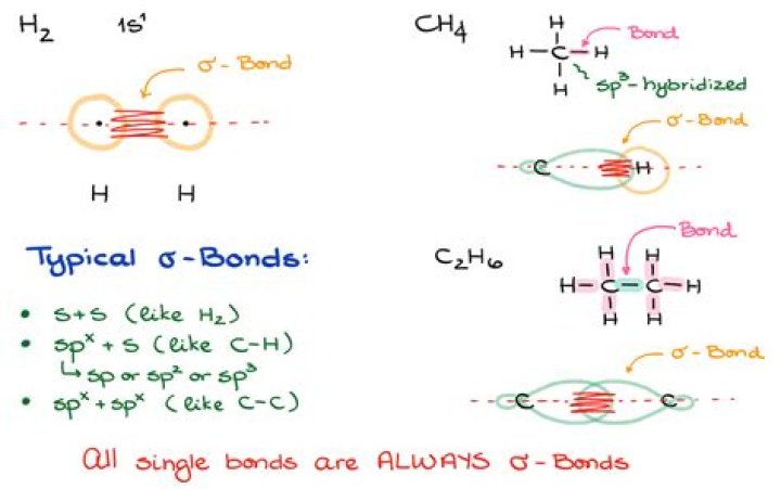 How many bonds can carbon nitrogen oxygen and hydrogen atoms form