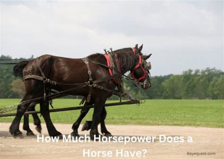 How many horsepower does a ISB Cummins Engine have?